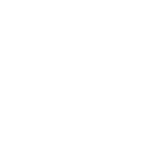 Quintero Trainer Logo