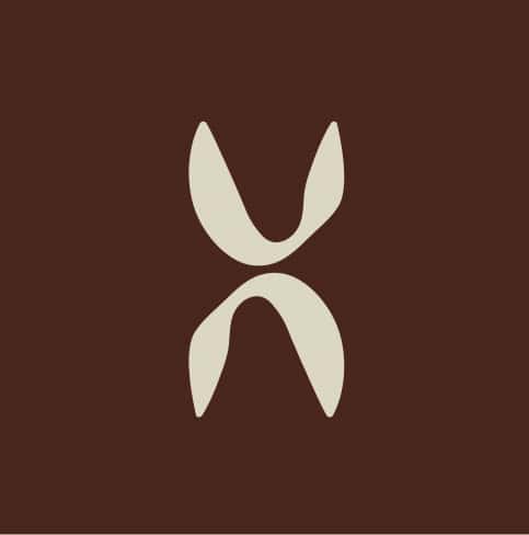 Reitxfit Logo Color