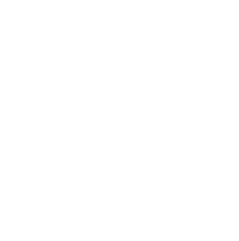 Reitxfit Logo